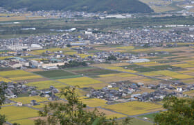 【名古屋版】相続に強いおすすめ専門家一覧と相談する専門家の選び方