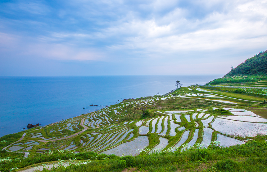 石川県　土地売却の2021年から現在までの売却動向と2024年以降の予測