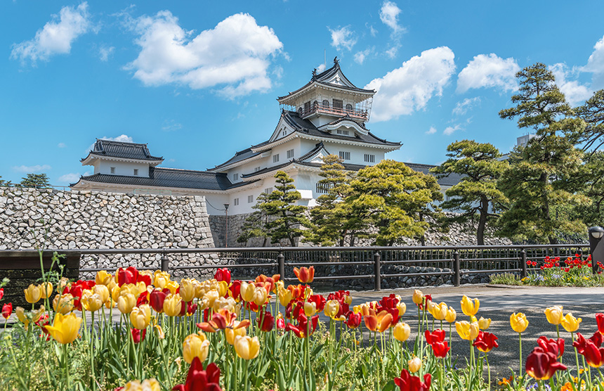 富山県　土地売却の2022年から現在までの売却動向と2024年以降の予測