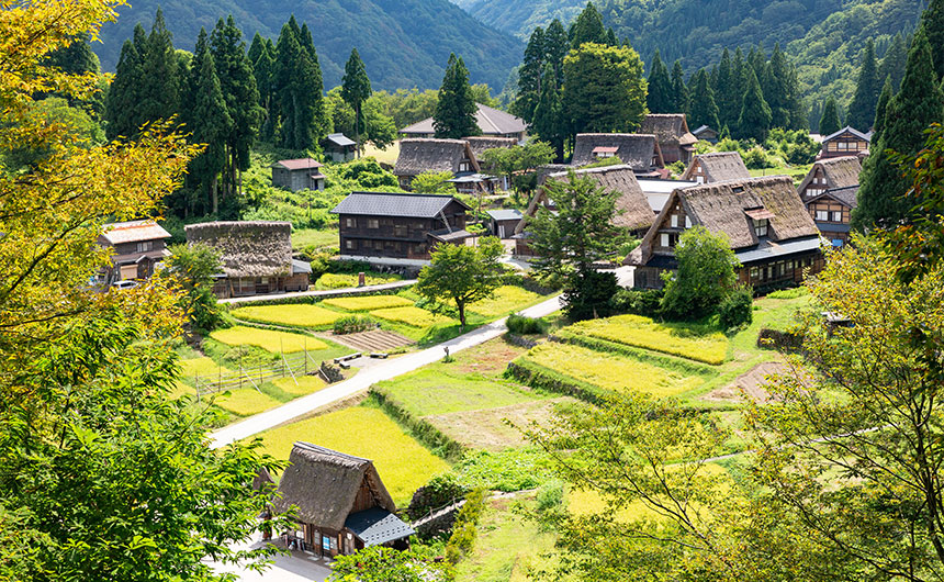 3.名古屋にお住まいのD様が「数次相続の土地の名義変更を完了し、売却できた事例」